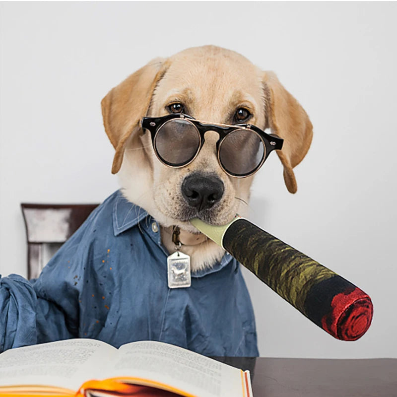 Funny Interactive Dog Toys Cigar Design Plush Squeaky Pet Toys Grinding Teeth Creative Chew Cool Stuffed Gifts for Dog Birthday